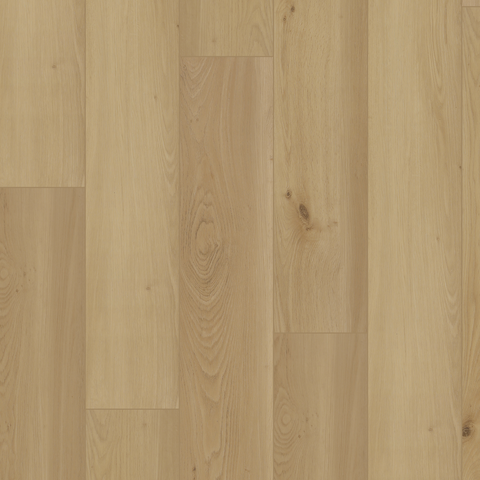 Silent Morning Sample*